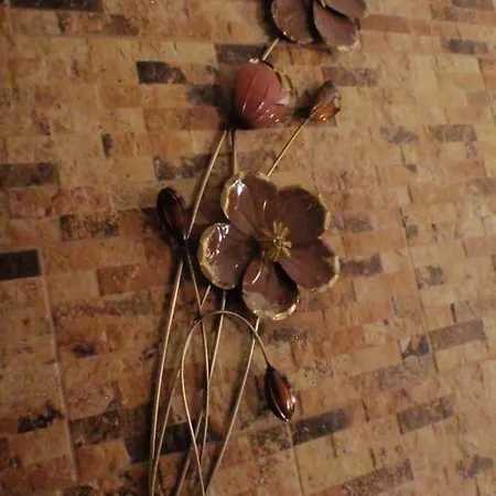 Varandas Da Serra Appartement *